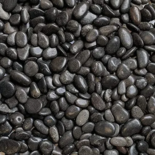 Gravilla Negra Decorativa